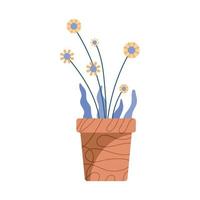 floral houseplant in pot vector
