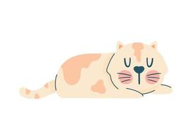 cute little cat lying vector
