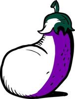 Drawing of a eggplant, illustration, vector on white background.