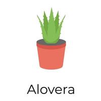 aloe vera de moda vector