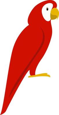 Red parrot, illustration, vector on white background.