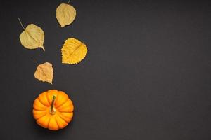 Small orange pumpkin leaves black paper background photo