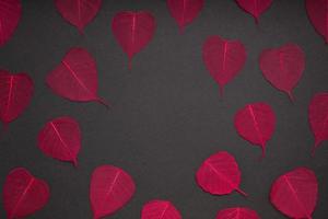 Red leaves pattern black paper background photo