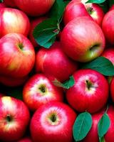 frutos de manzana roja foto