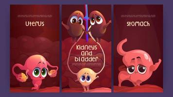 Posters with uterus, stomach, kidneys and bladder vector