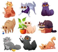Cute pets, cats and kittens in different poses