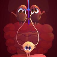 Kidney Cartoon Vector Art, Icons, and Graphics for Free Download Kidney Cartoon Vector Art, Icons, and Graphics for Free Download