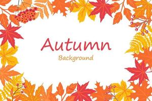 Autumn background with foliage. Autumn background with leaves for lettering. Vector background.