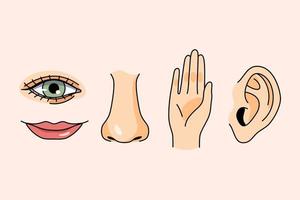 órganos de los sentidos para sentir el concepto. manos orejas nariz labios y ojos para la visión tocar escuchar sabor y oler sobre fondo rosa ilustración vectorial vector