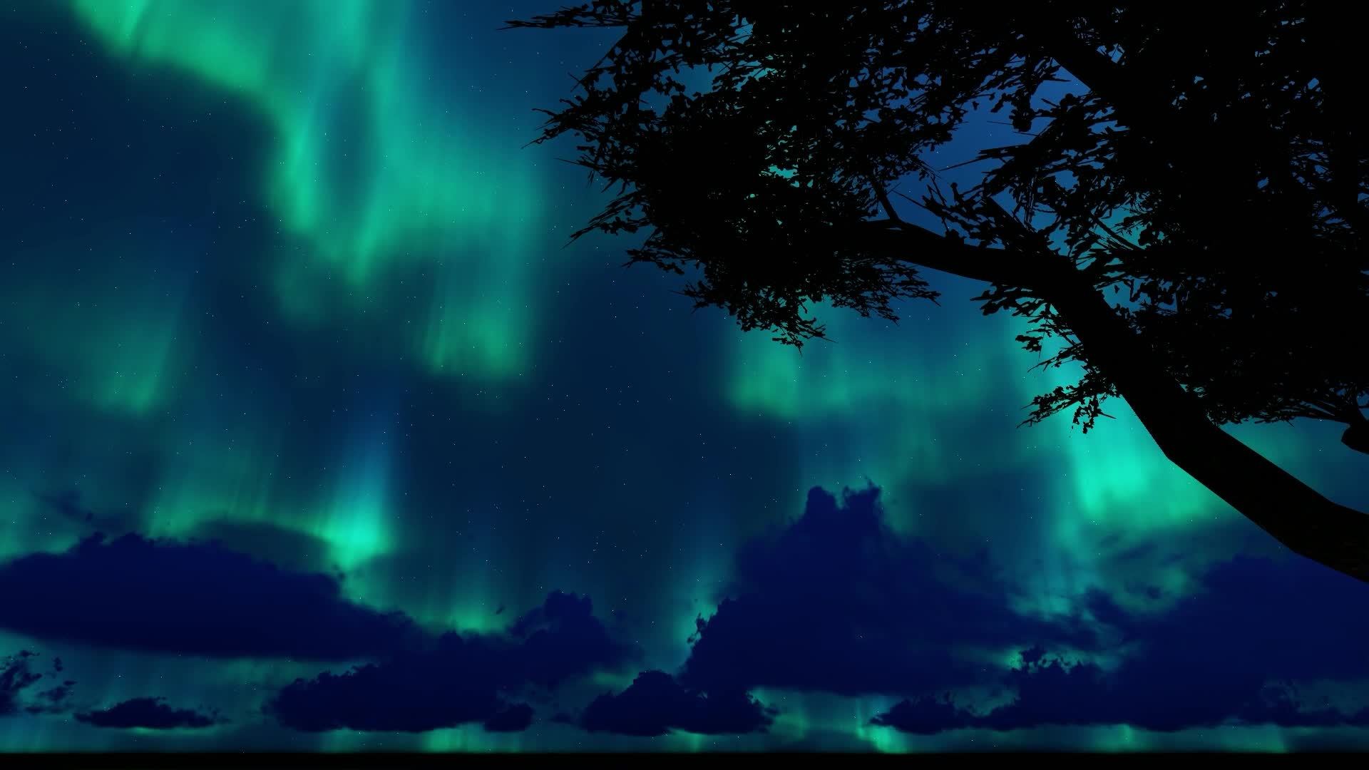 Northern LightsAurora Lights Beautiful romance background. Sky Time
