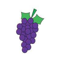 vector de serie de frutas, lindo vector de fruta de uva. ideal para el aprendizaje de los niños, así como para los iconos.