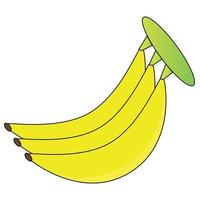 vector de serie de frutas, lindo vector de fruta de plátano. ideal para el aprendizaje de los niños, así como para los iconos.