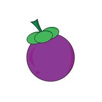 vector de serie de frutas, lindo vector de frutas de mangostán. ideal para el aprendizaje de los niños, así como para los iconos.