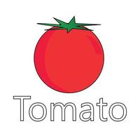 vector de serie de frutas, vector de lindas frutas de tomate. ideal para el aprendizaje de los niños, así como para los iconos.