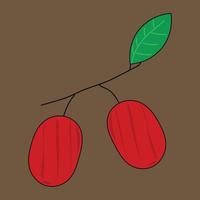 vector de serie de frutas, lindo vector de fruta de azufaifo. ideal para el aprendizaje de los niños, así como para los iconos.