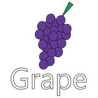 Fruit series vector, cute grape fruit vector. Great for learning for kids as well as as icons. vector