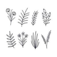 Set of hand drawn botanical flower elements. Vector illustration isolated on white background