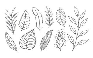 Set of hand drawn botanical flower elements. Vector illustration isolated on white background