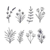 Set of hand drawn botanical flower elements. Vector illustration isolated on white background