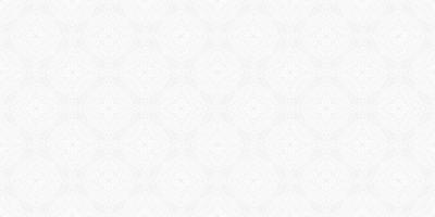 modern ethnic gray line vector
