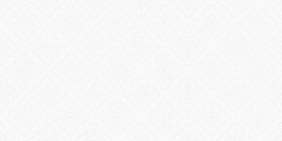 modern ethnic gray line vector