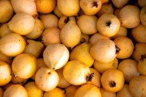 Background texture of whole guavas with copy space photo