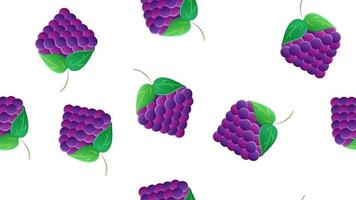 racimo de uvas de vino con patrones sin fisuras de hojas. ilustración vectorial para alimentos orgánicos textiles, impresos, afiches, telas, sitios web, aplicaciones, artículos. tienda de vinos y diseño de granja de uvas vector