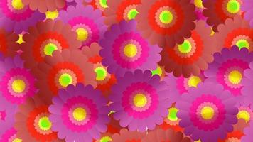 interminable patrón sin costuras de hermosas flores silvestres púrpuras con pétalos sobre un fondo rosa. ilustración vectorial vector