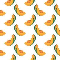 Delicious cantaloupe ,seamless pattern on white background. vector