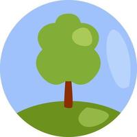 Tree in summer time, illustration, vector on a white background.