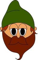 Ghnome with green cap and beard, illustration, vector on white background.