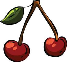 Two cherries, illustration, vector on a white background.