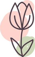 Small pink garden flower, illustration, vector, on a white background. vector