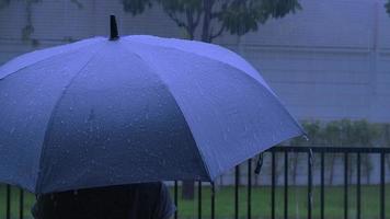 Regen auf grauem Regenschirm. silberner regenschirm im regen am abend bangkok. video