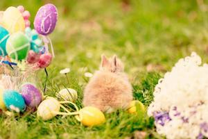 Happy Easter view photo