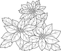 Outlined poinsettia flower for adults  coloring book vector