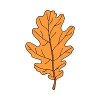 Fallen oak leaf in cartoon style. Vector illustration isolated on white background