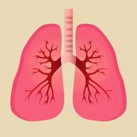 Illustration of human lungs. Vector illustration.