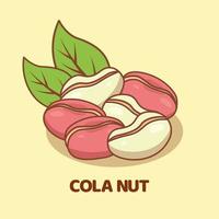 Cola nut cartoon vector icon illustration isolated