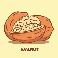 Walnut cartoon vector icon illustration isolated