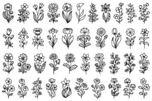 Line art flowers set. Collection of black and white thin linear flowers. Decorative illustrations, contour floral set isolated on white background. vector