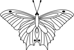 Butterfly vector illustration. Line art on white. Icon