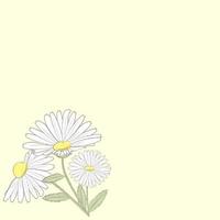 yellow background with chamomile flower vector