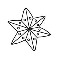 Christmas cookie in star shape vector illustration. Hand drawn ginger cookie