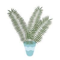 Vector flat home palm tree in pot illustration