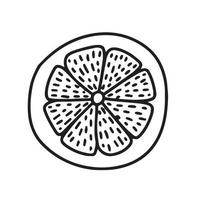 Vector slice of lemon sketch