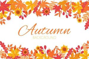 Autumn background with foliage. Autumn background with leaves for lettering. Vector background.