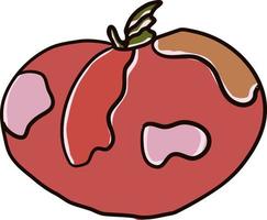 Fresh tomato, illustration, vector on white background.