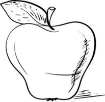 Apple drawing, illustration, vector on white background.