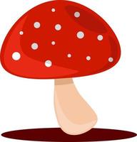 Forest mushroom, illustration, vector on white background.